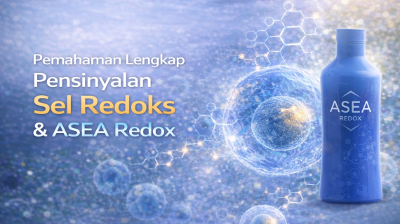 Apa Itu Pensinyalan Sel Redoks? Penjelasan Lengkap Redox Signaling dan Hubungannya dengan ASEA Redox