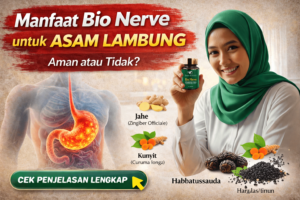 manfaat bio nerve untuk asam lambung