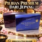 Distributor AFC Jepang Makassar Subarashi Utsukushhii